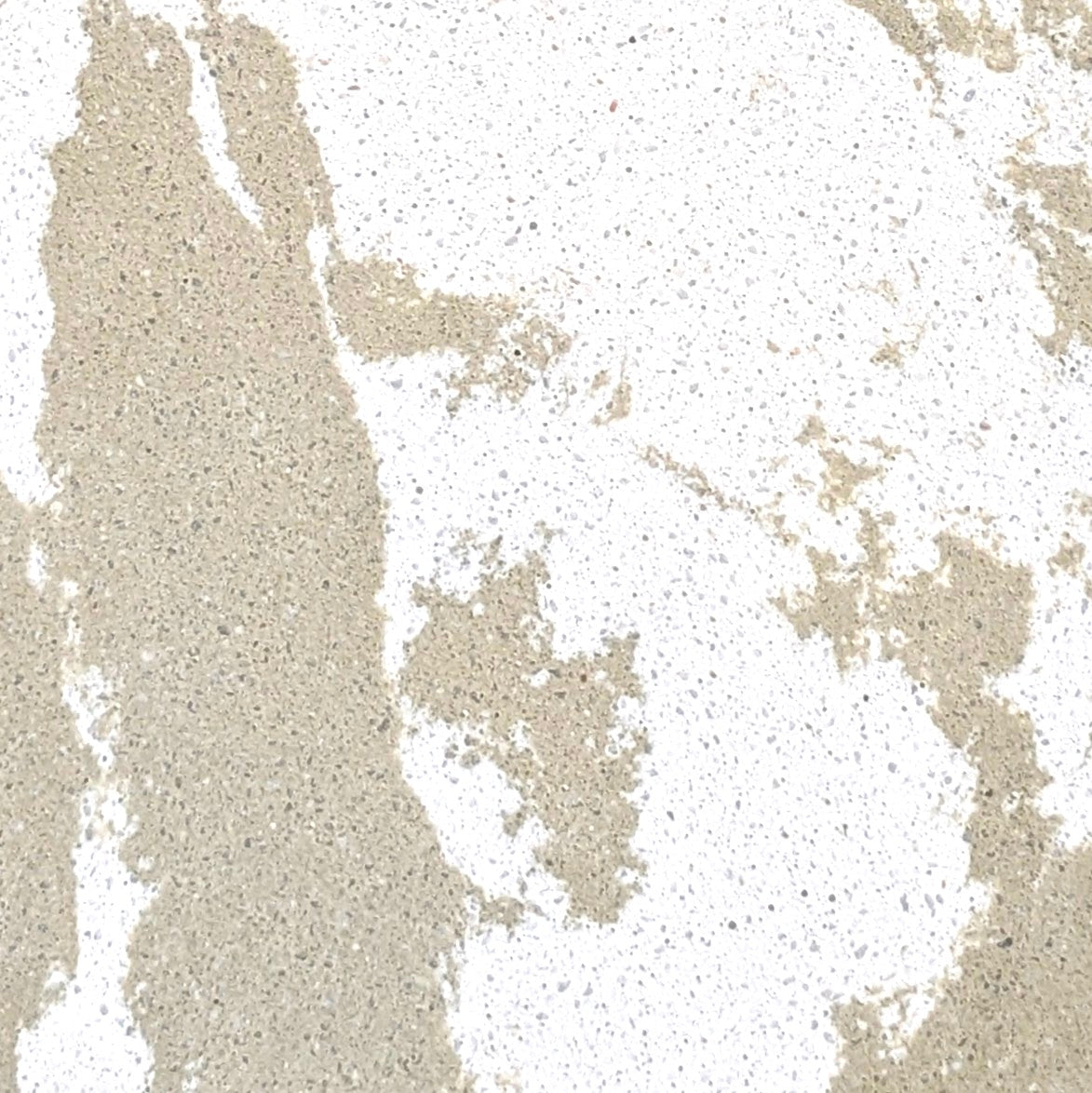 Plateau circulaire | Agatha